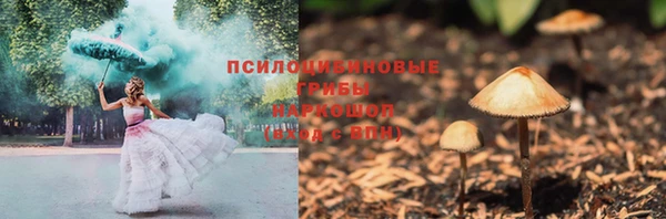 индика Козловка