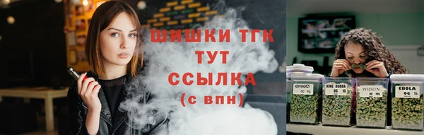 индика Козловка