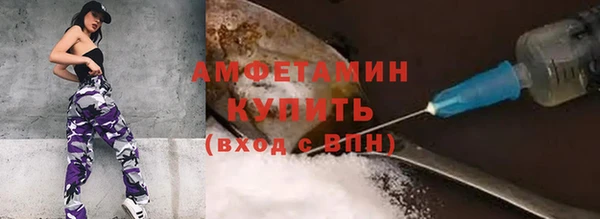 ГАЛЛЮЦИНОГЕННЫЕ ГРИБЫ Кодинск