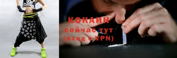 кокс Костерёво